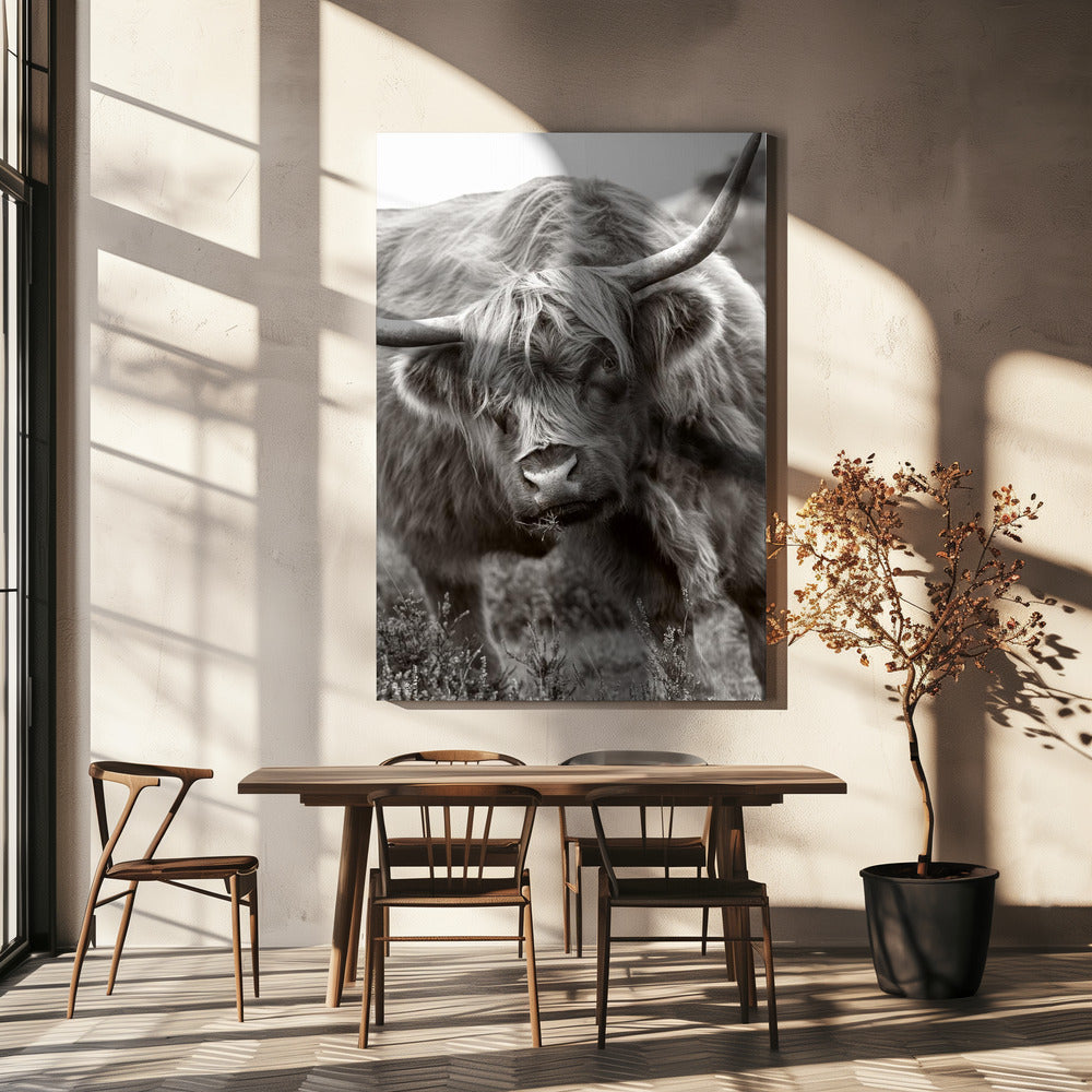 The Bull | Canvas