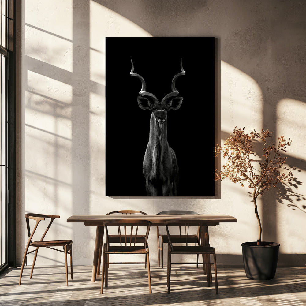 Kudu maggiore | Stampe su Tela
