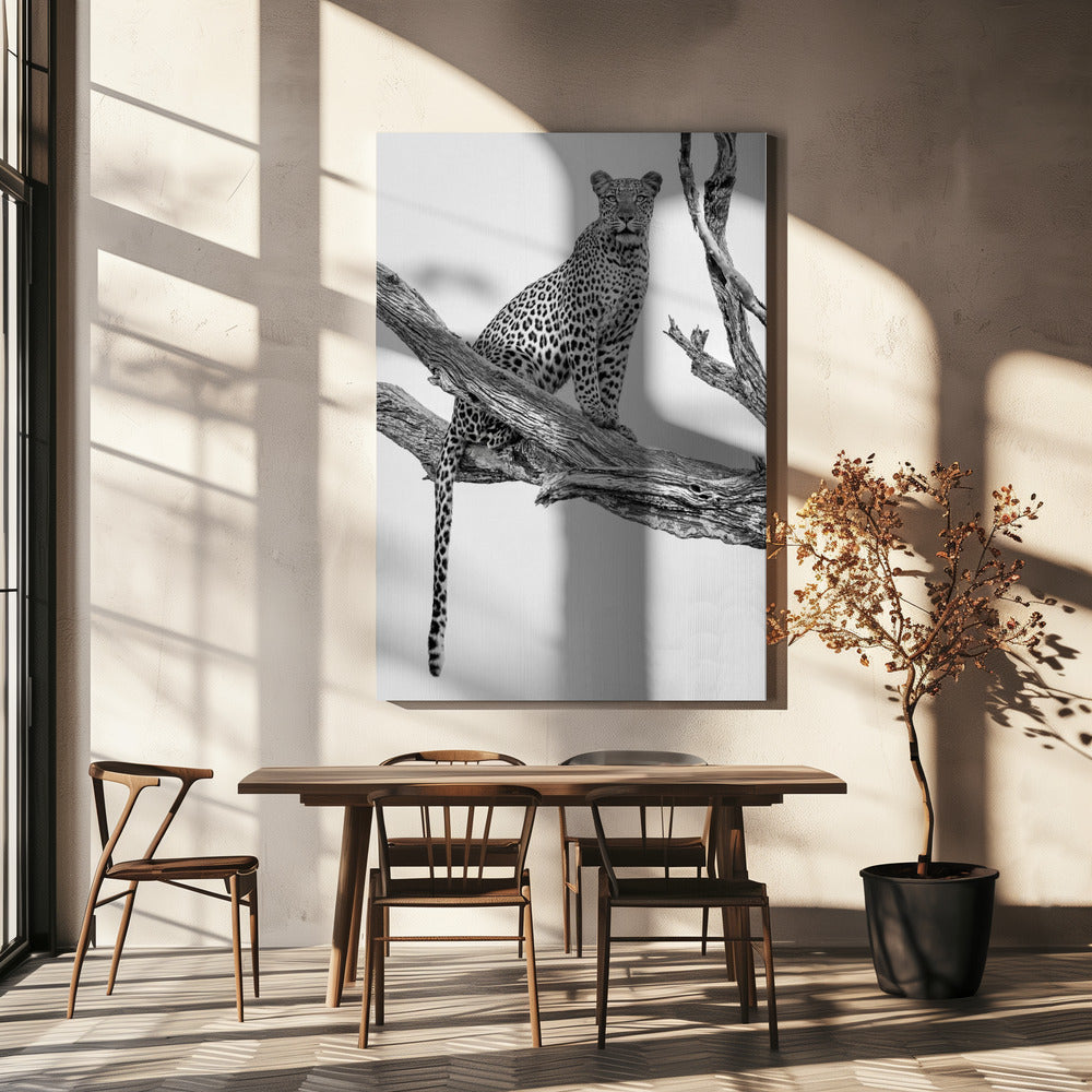 Leopard Portrait-Mono Var | Tableaux sur Toile