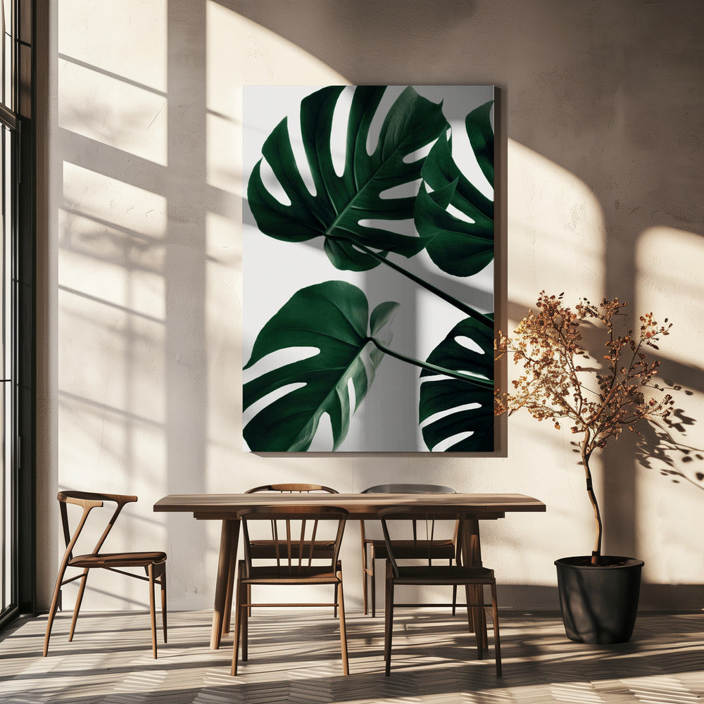 Monstera Natural 43 | Canvastaulut