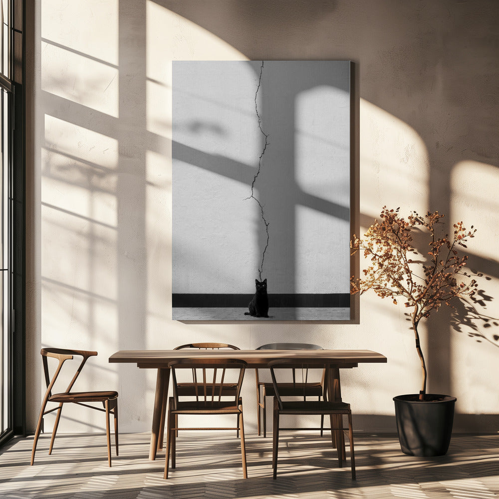 Katttankar | Canvas