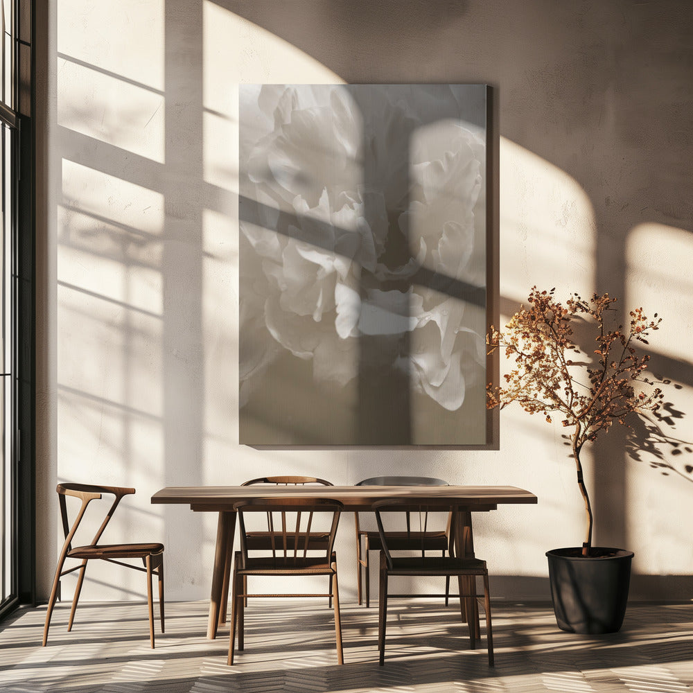 Pioenroos_9 | Canvasprints