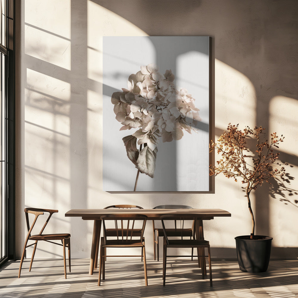 Beige gedroogde bloem | Canvasprints