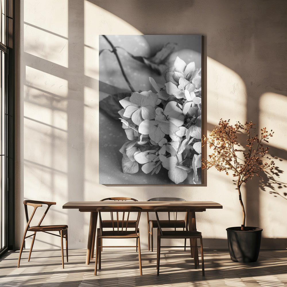 Teller mit getrockneten Blumen_schwarz-weiß | Leinwand-Bilder