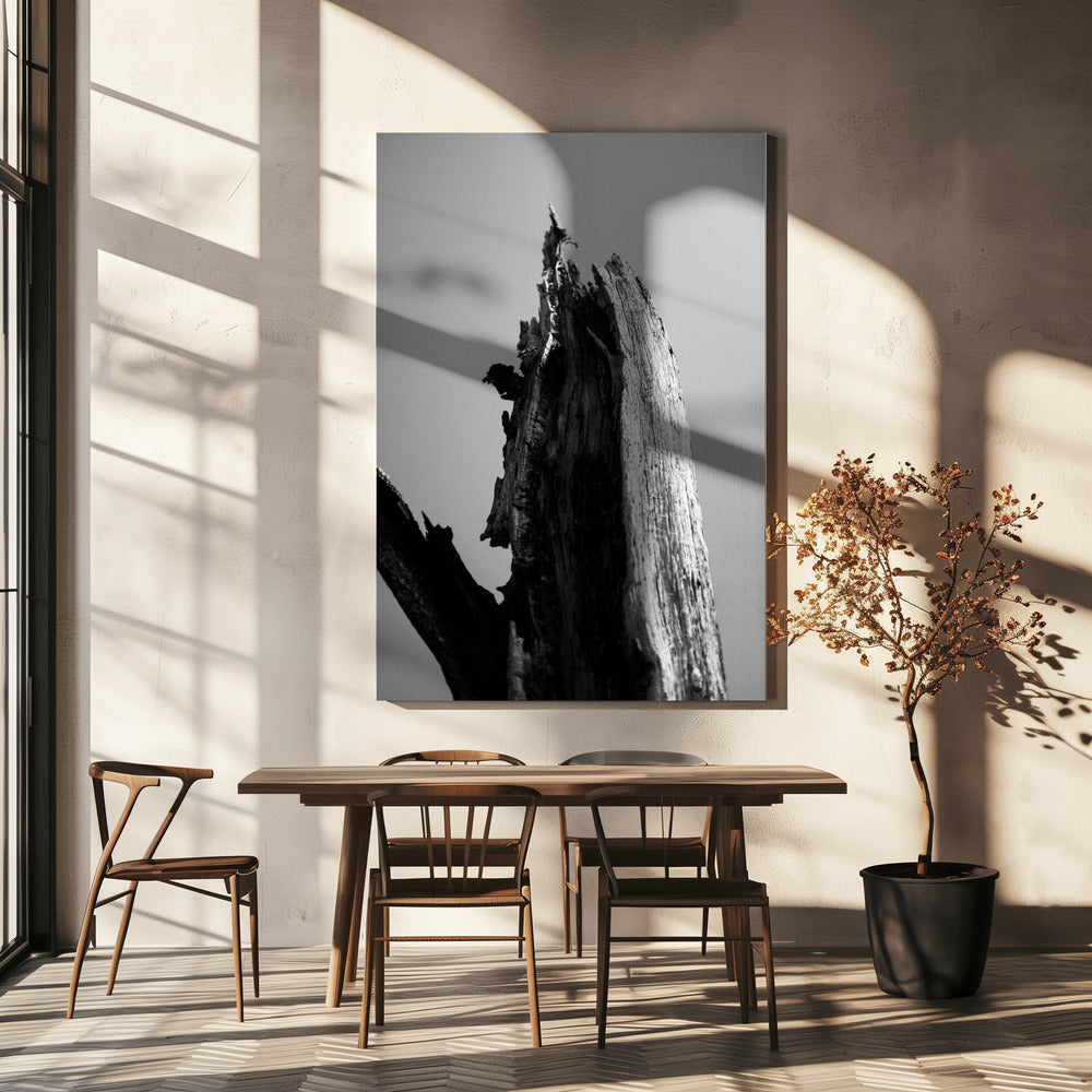 Moerassen 1 | Canvasprints