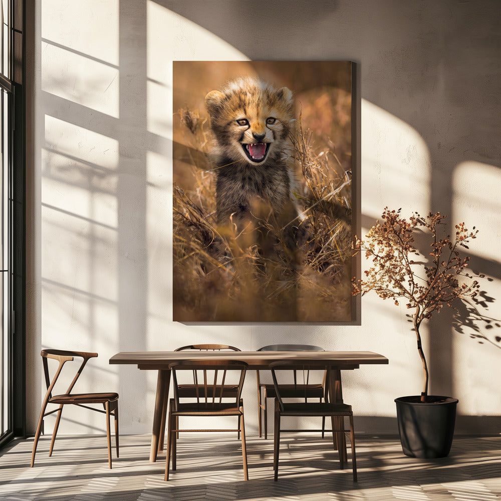 Big Smile | Canvas
