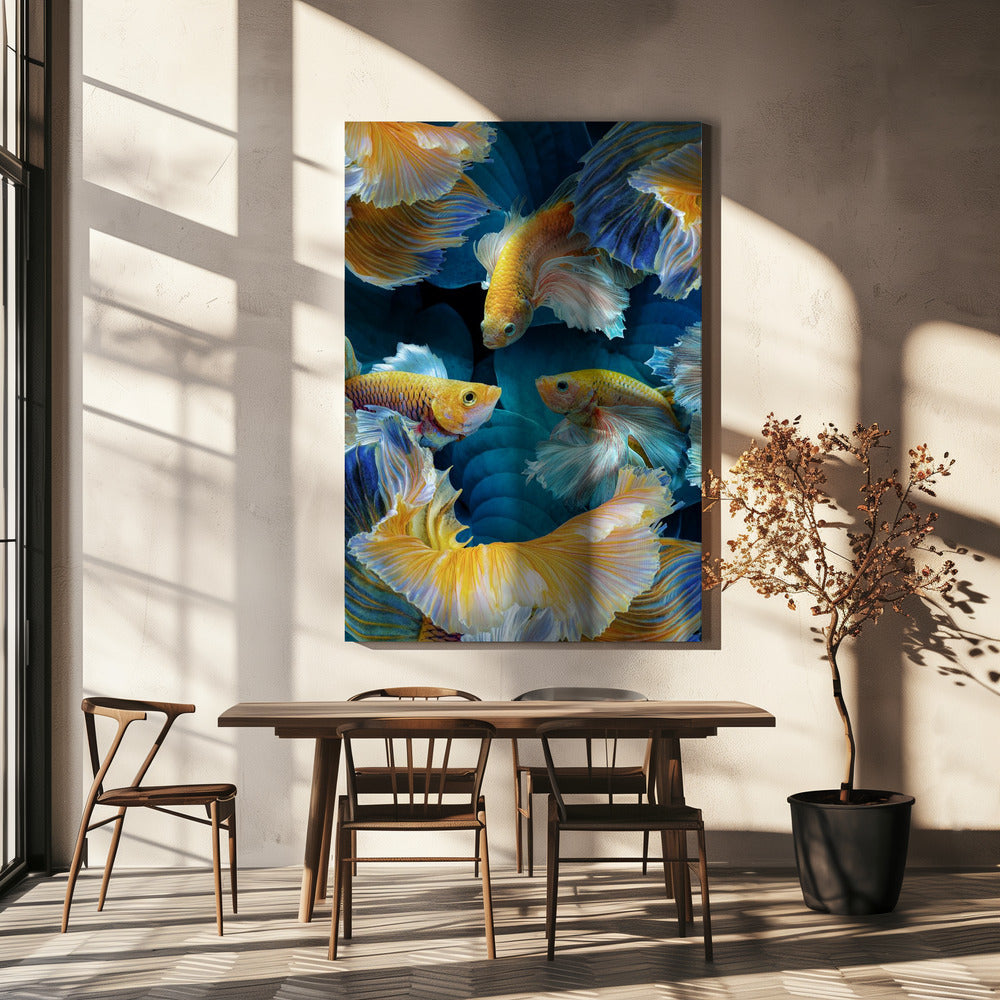 Poissons colorés | Tableaux sur Toile