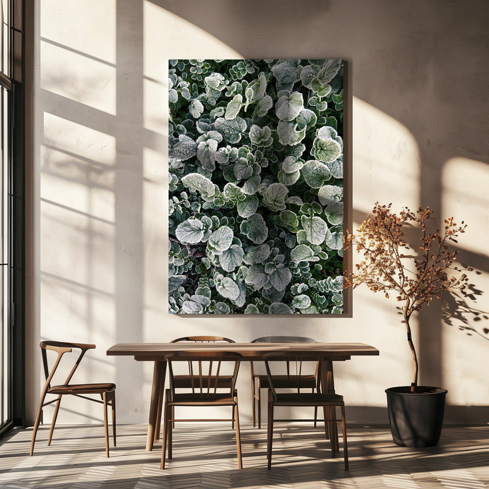 Frosted | Canvas