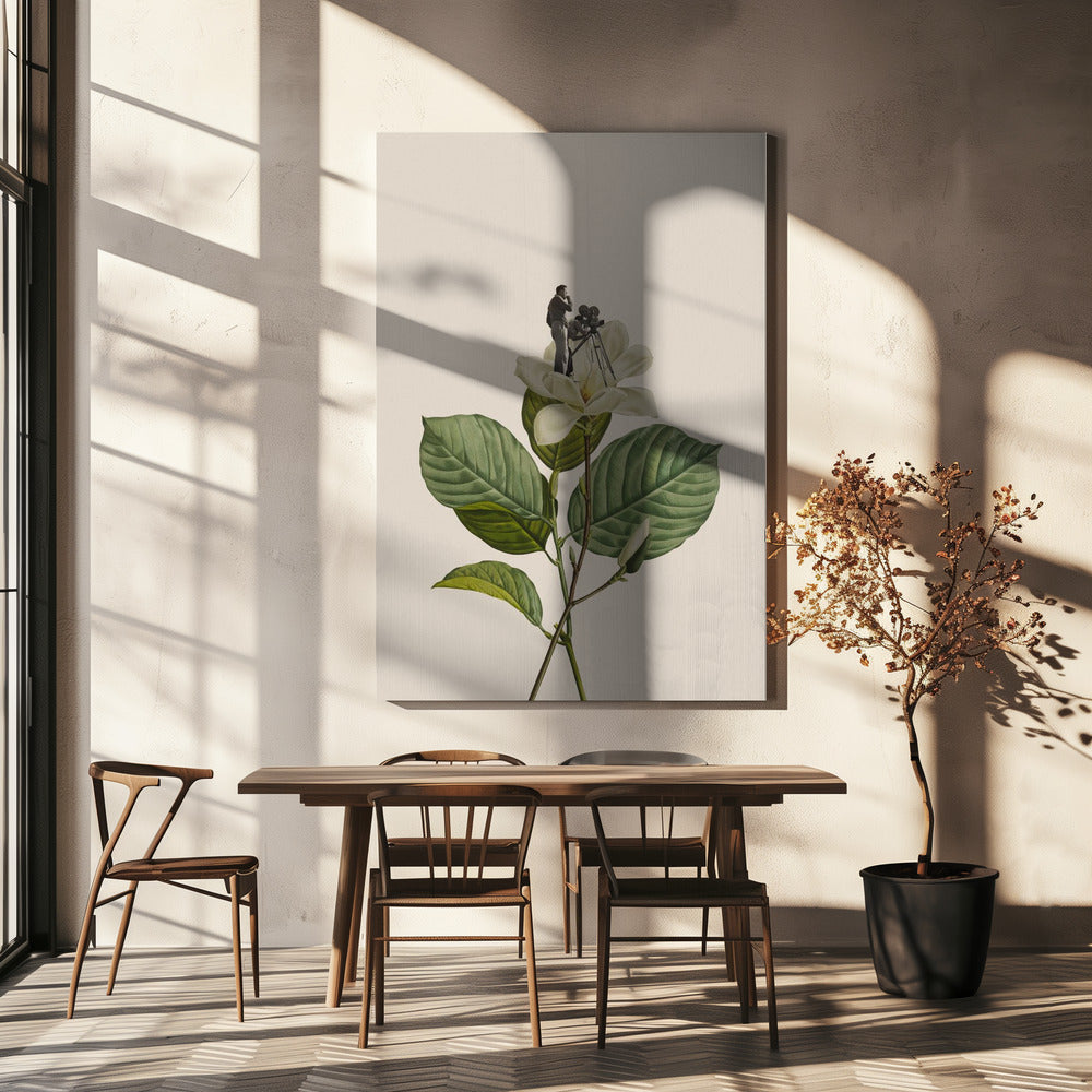 Botanische vintage cameraman | Canvasprints