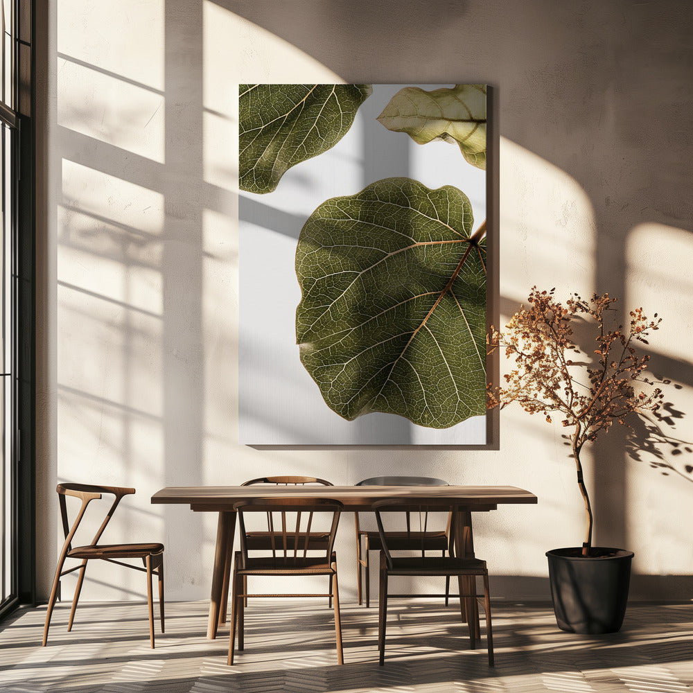 Abutifolia nr. 2 | Lærredsbilleder