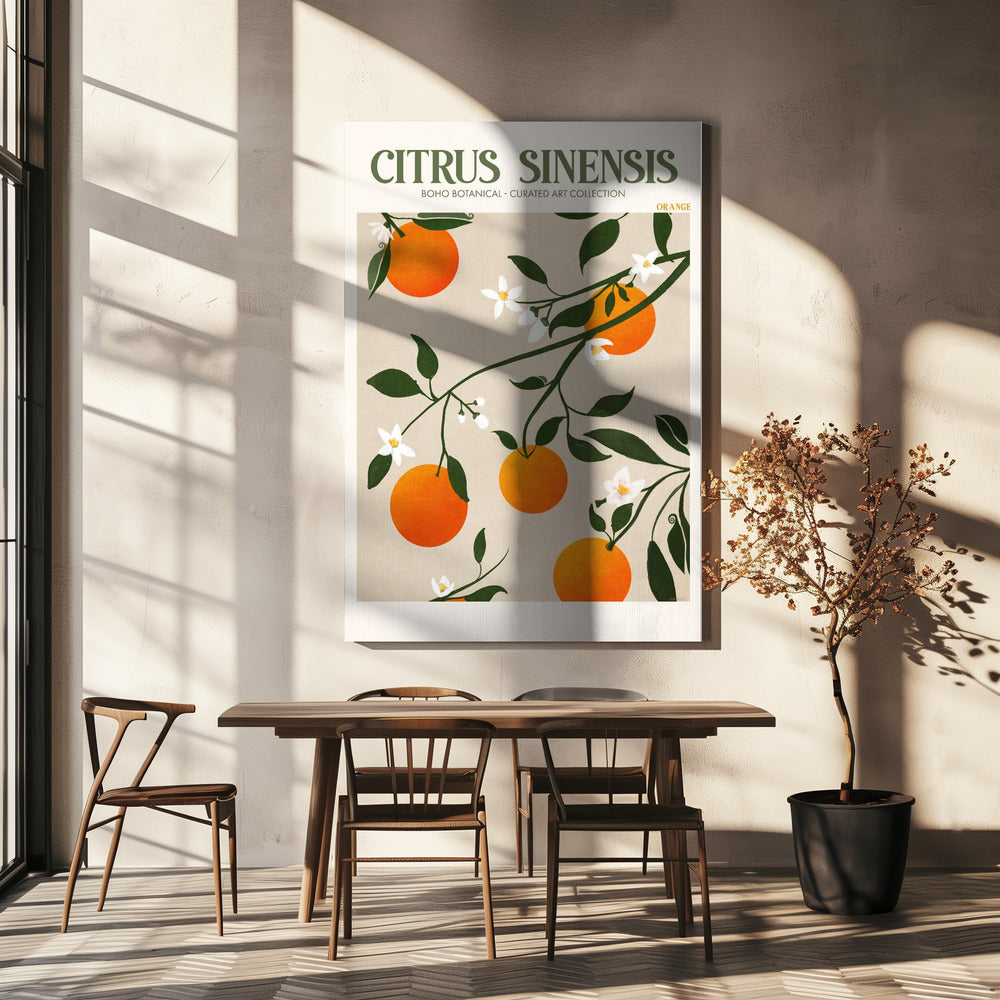 Citrus Sinensis - Appelsin | Lærredsbilleder