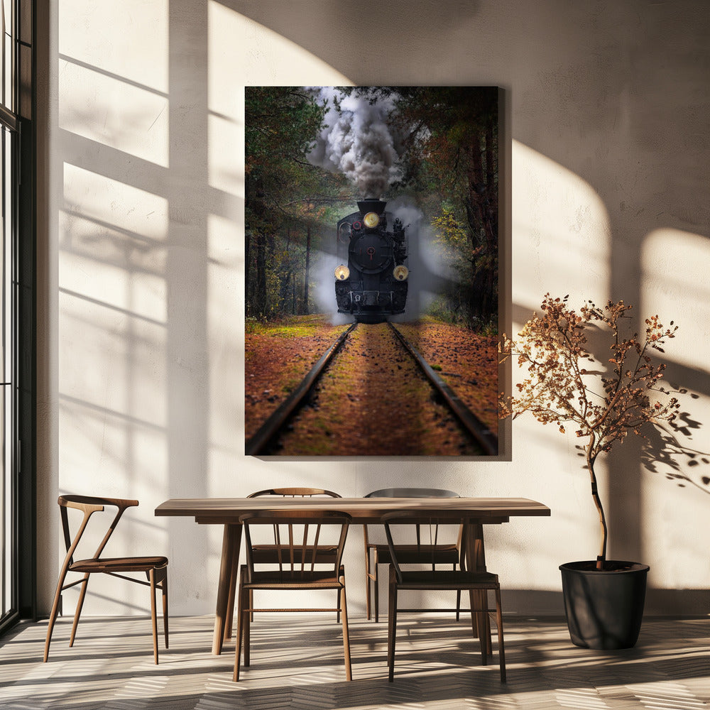 Door het herfstbos | Canvasprints