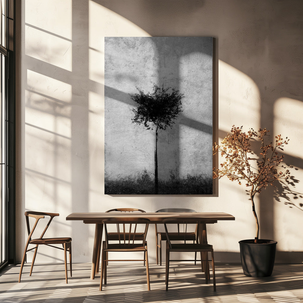 Baum in schwarz und weiß | Leinwand-Bilder