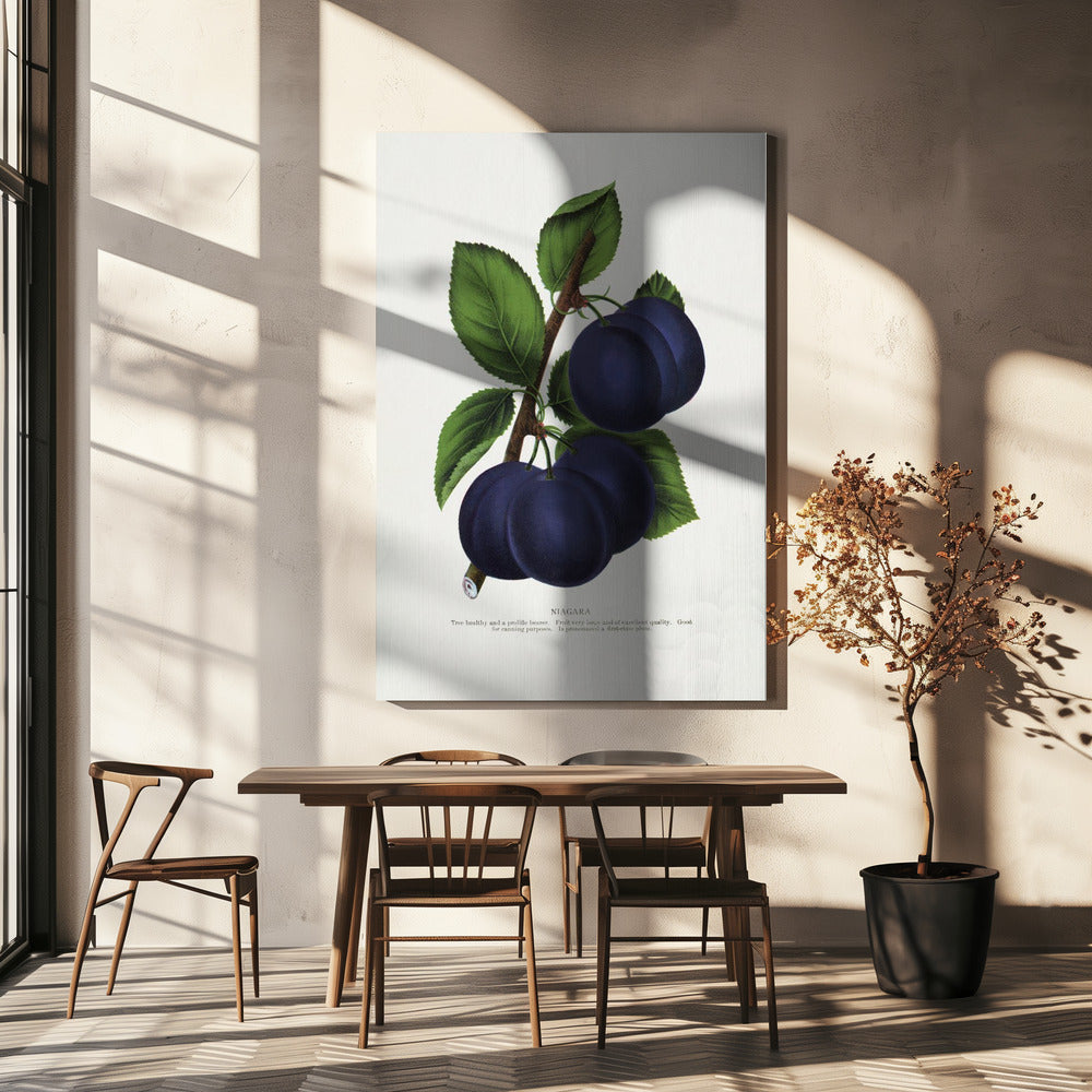 Niagara Plum Litografi | Duk