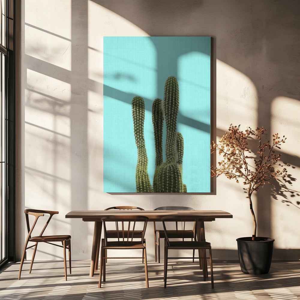Turkos kaktus | Canvas
