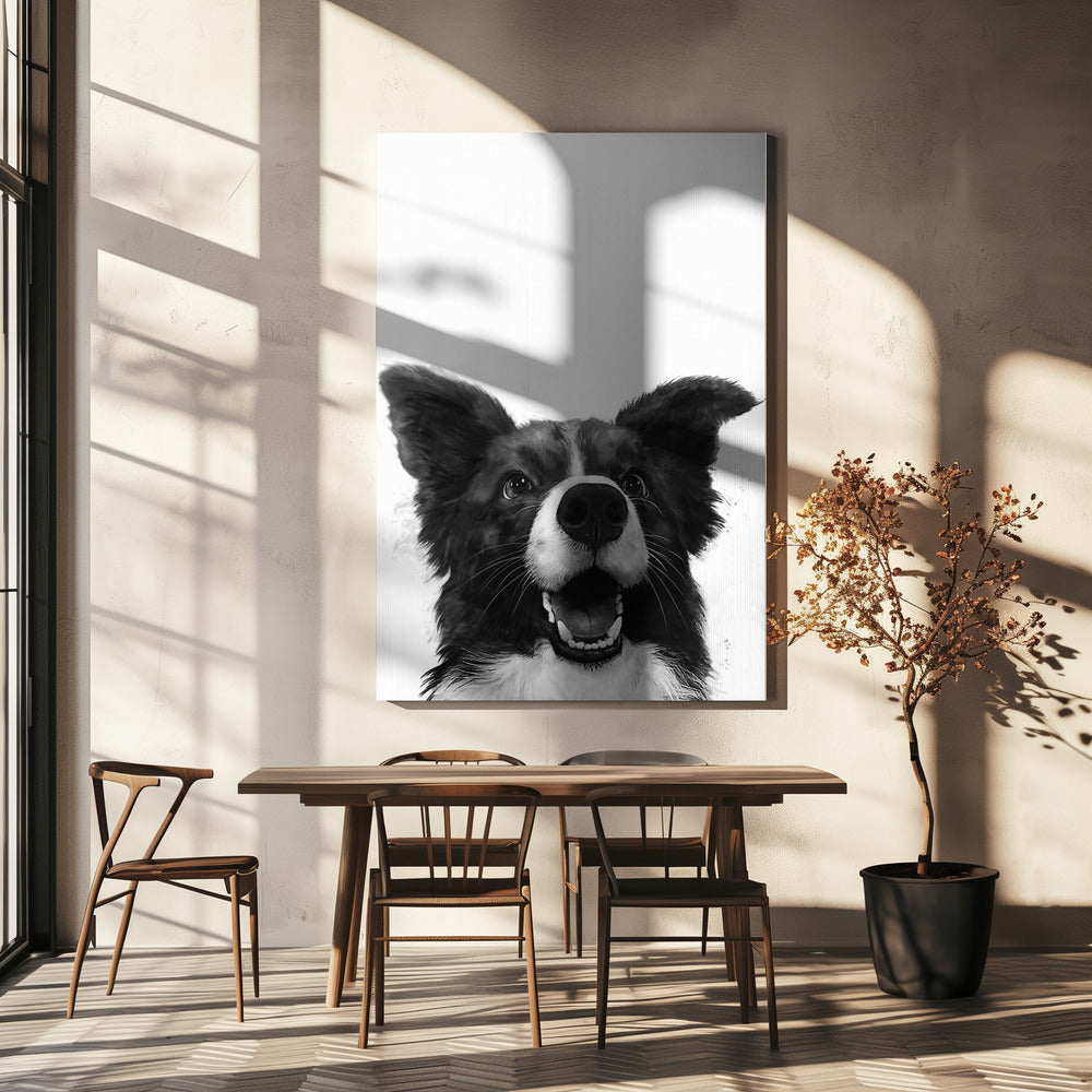 Regard canin joyeux | Tableaux sur Toile