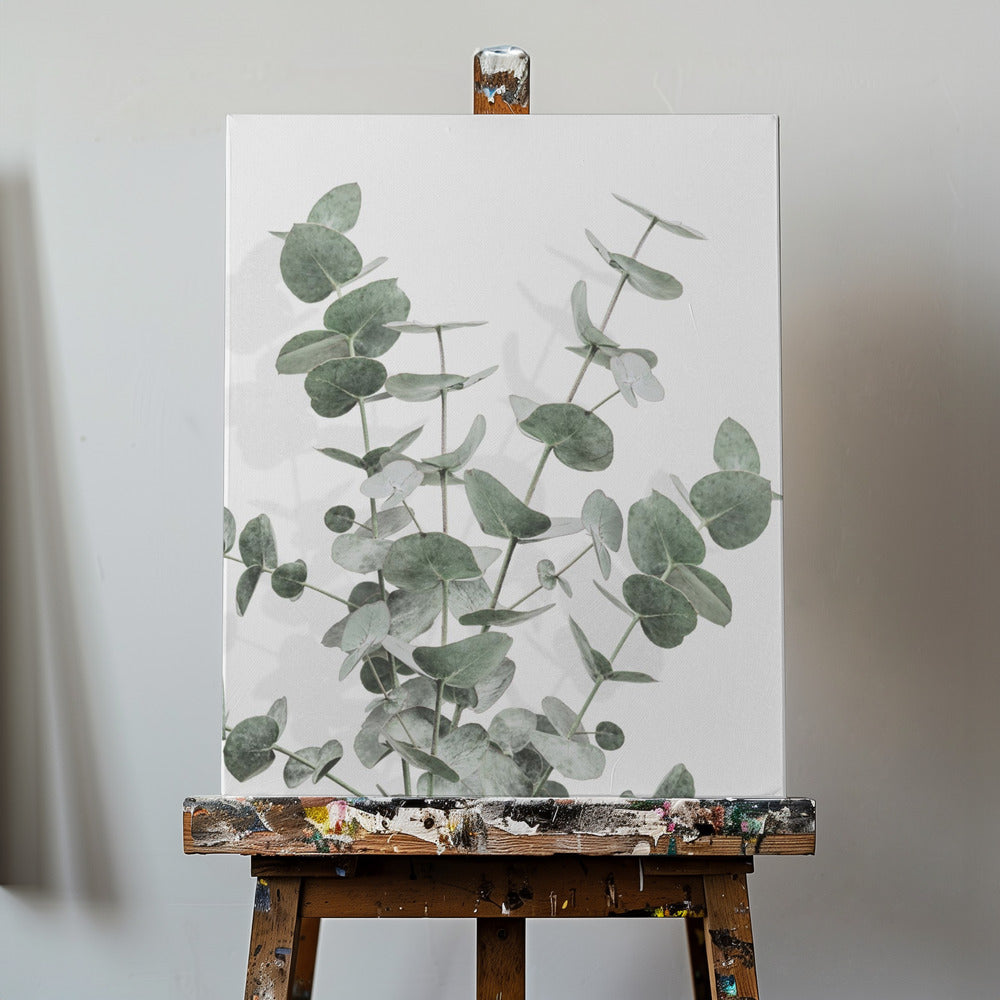 Eucalyptus Créatif 16 | Tableaux sur Toile