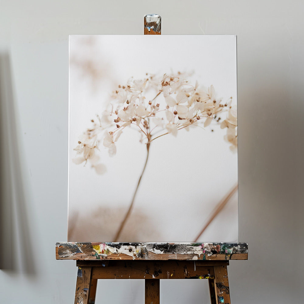 Weiche Trockenblume_braun | Leinwand-Bilder