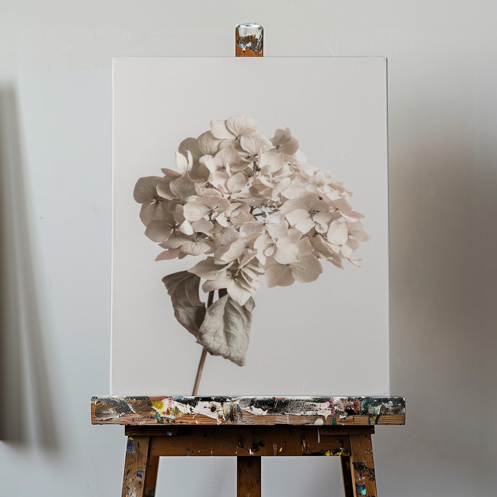 Beige gedroogde bloem | Canvasprints