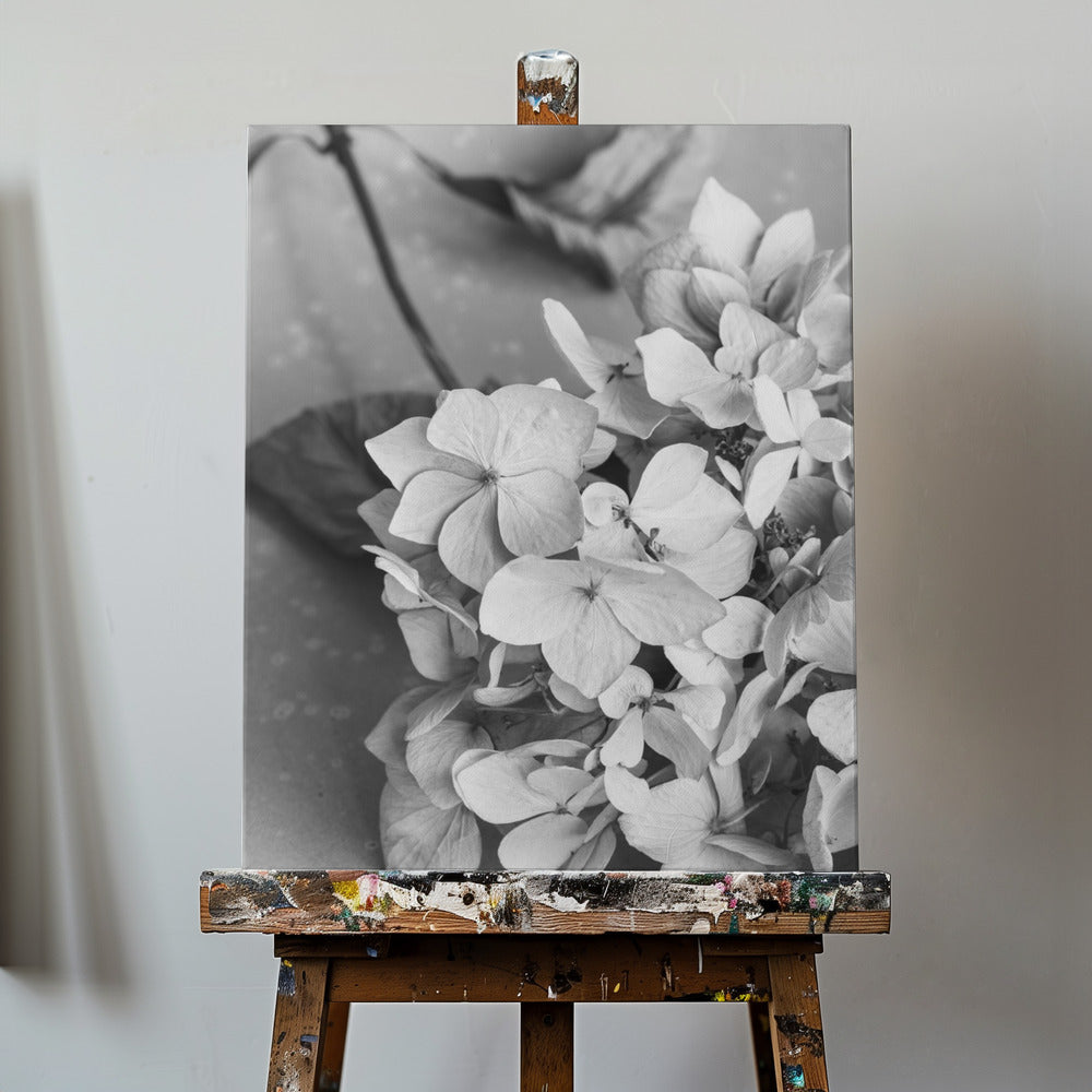 Teller mit getrockneten Blumen_schwarz-weiß | Leinwand-Bilder