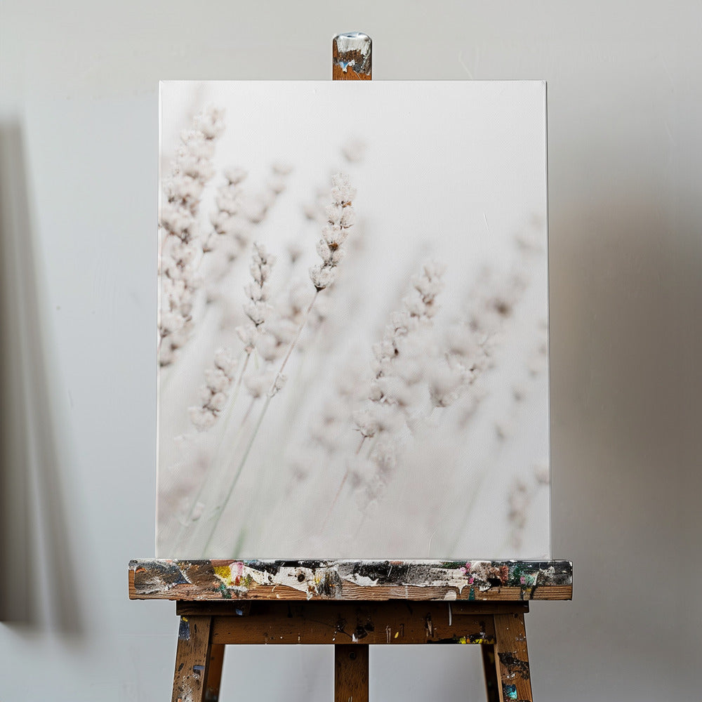 Grashalme | Leinwand-Bilder