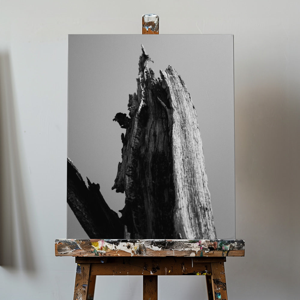 Moerassen 1 | Canvasprints