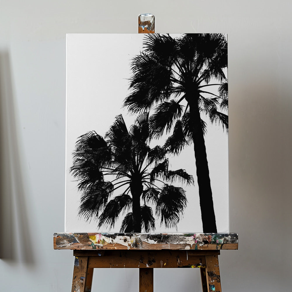 Palm Contrast | Canvas