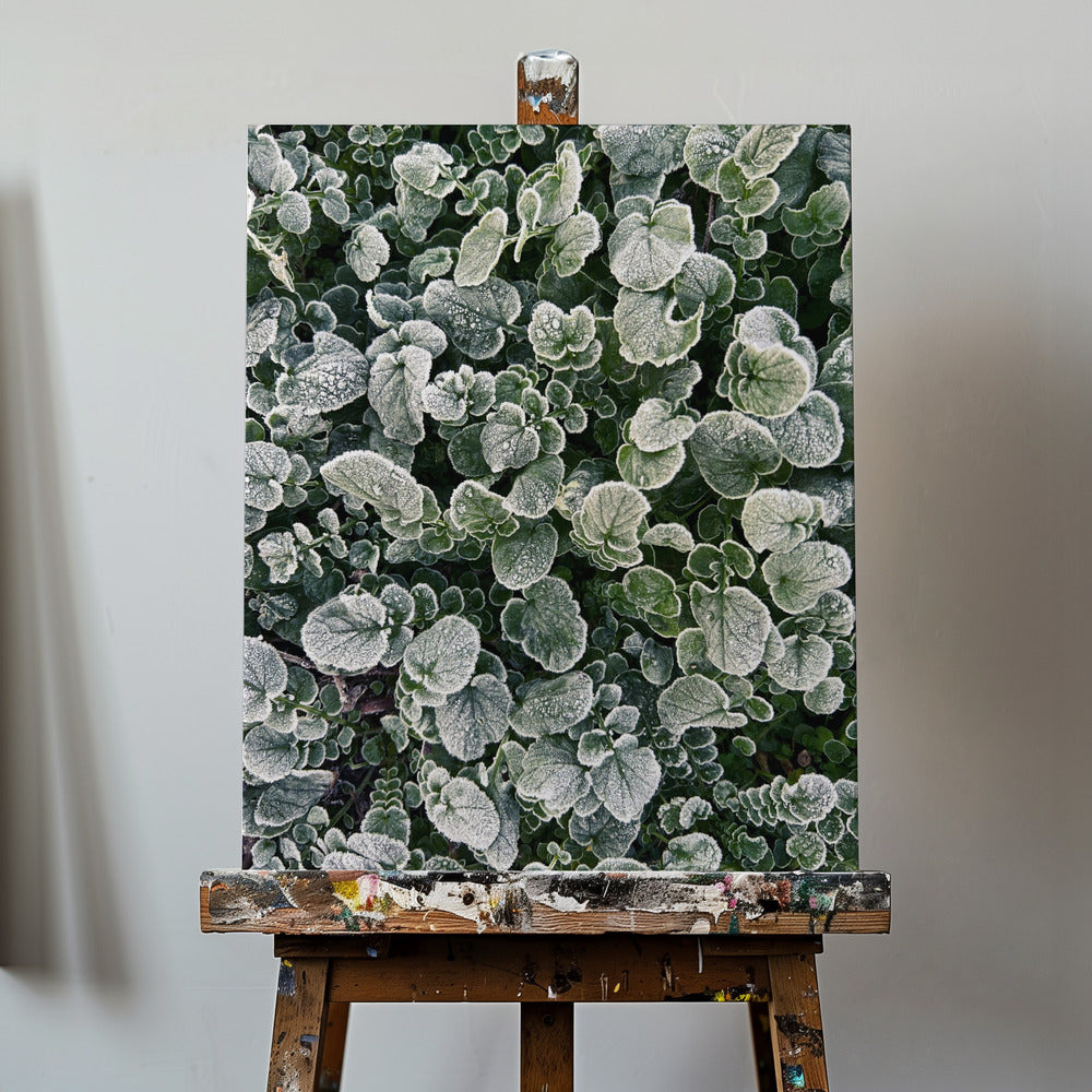Frosted | Canvas