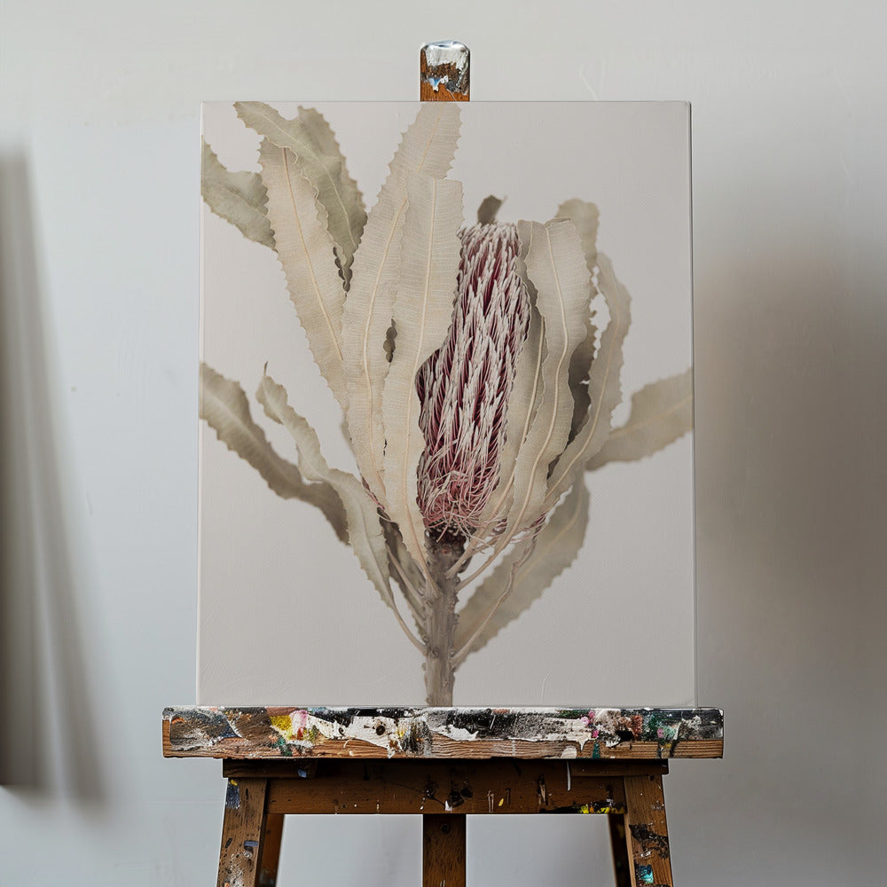 Banksia | Leinwand-Bilder