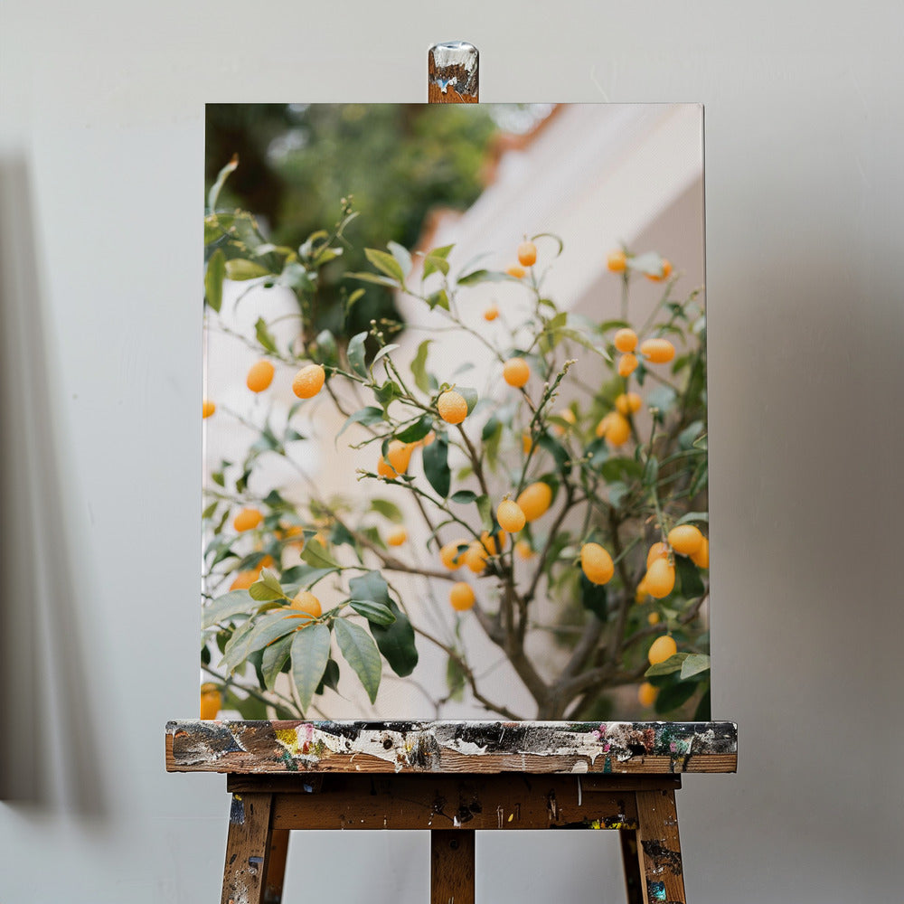 Orange Capri | Canvas
