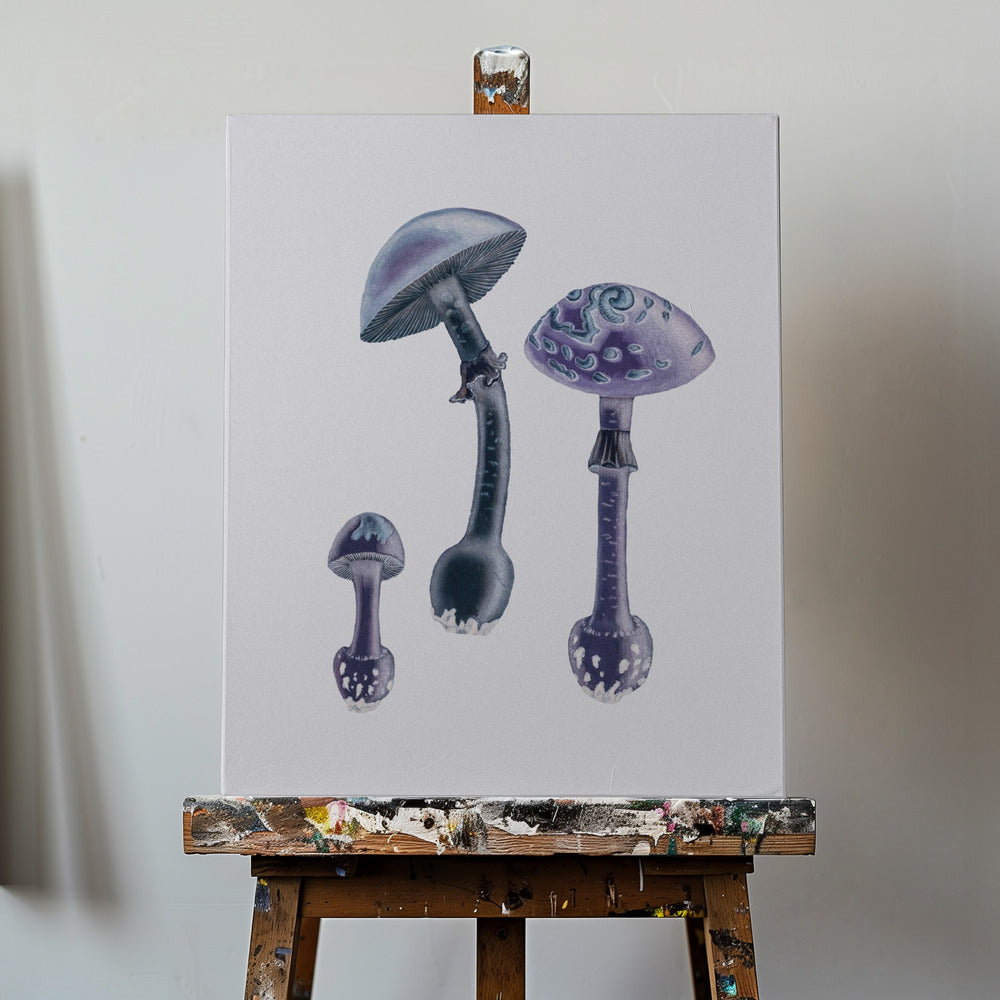Amanita Muscaria Białe Tło Fioletowe | Wydruki na łótnie