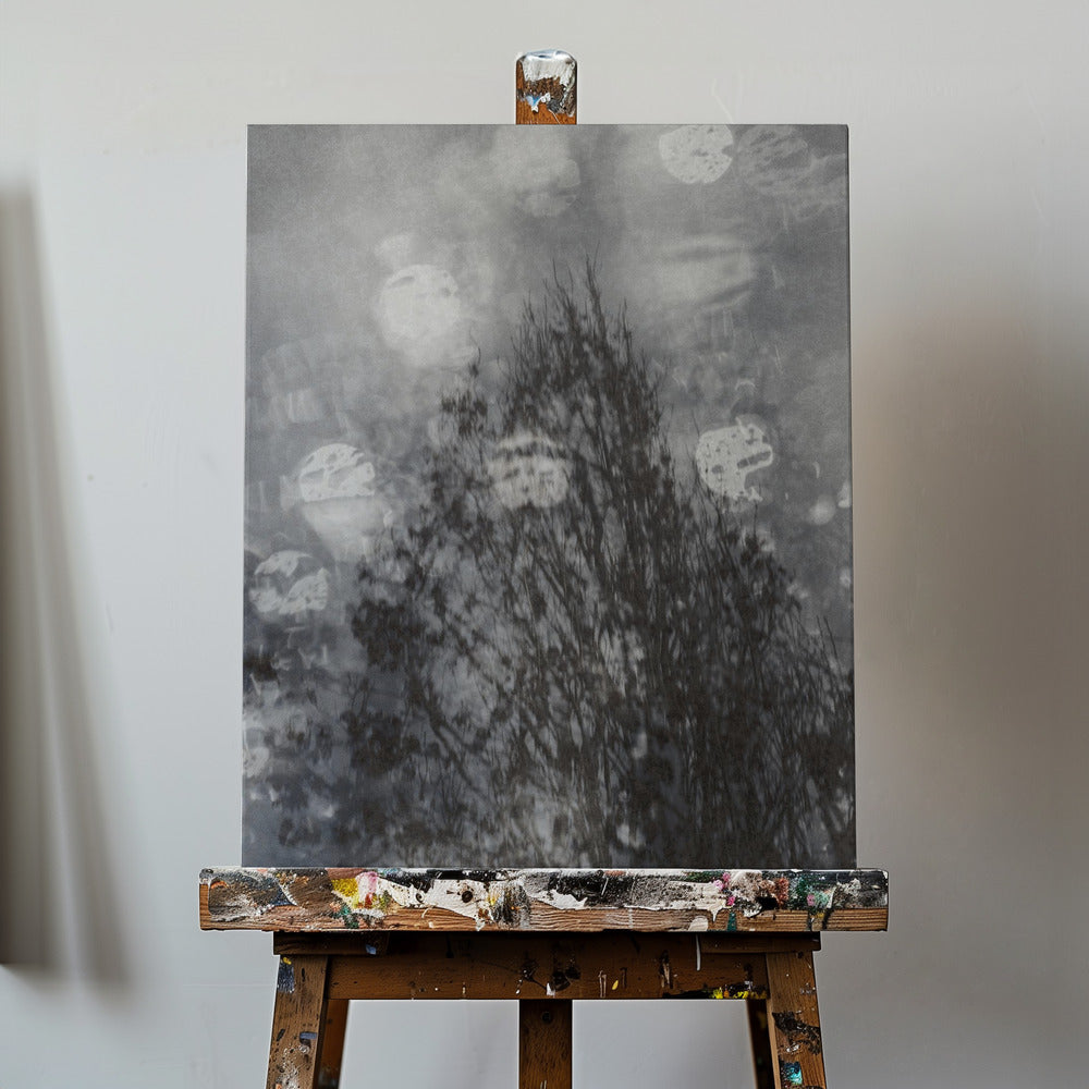 Stämningsfullt träd | Canvas