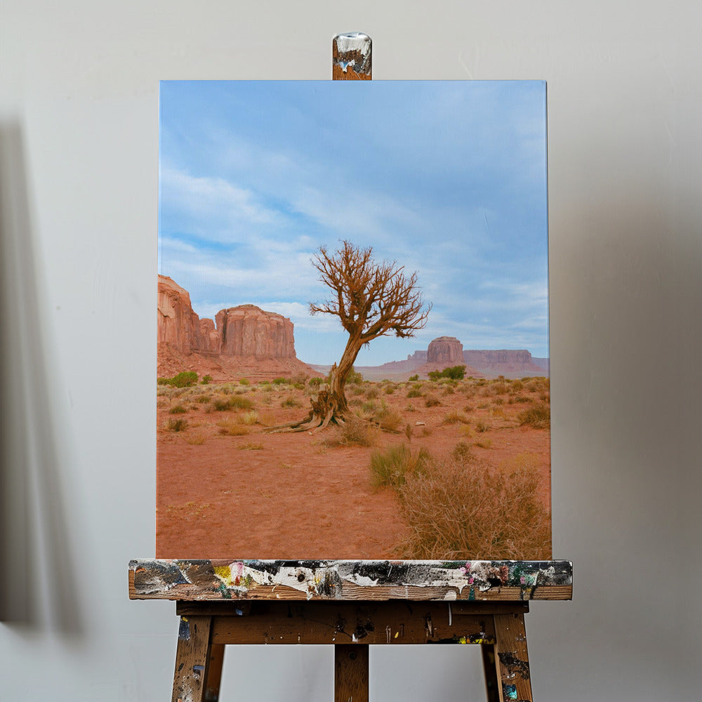 Monument Valley XI | Canvastaulut