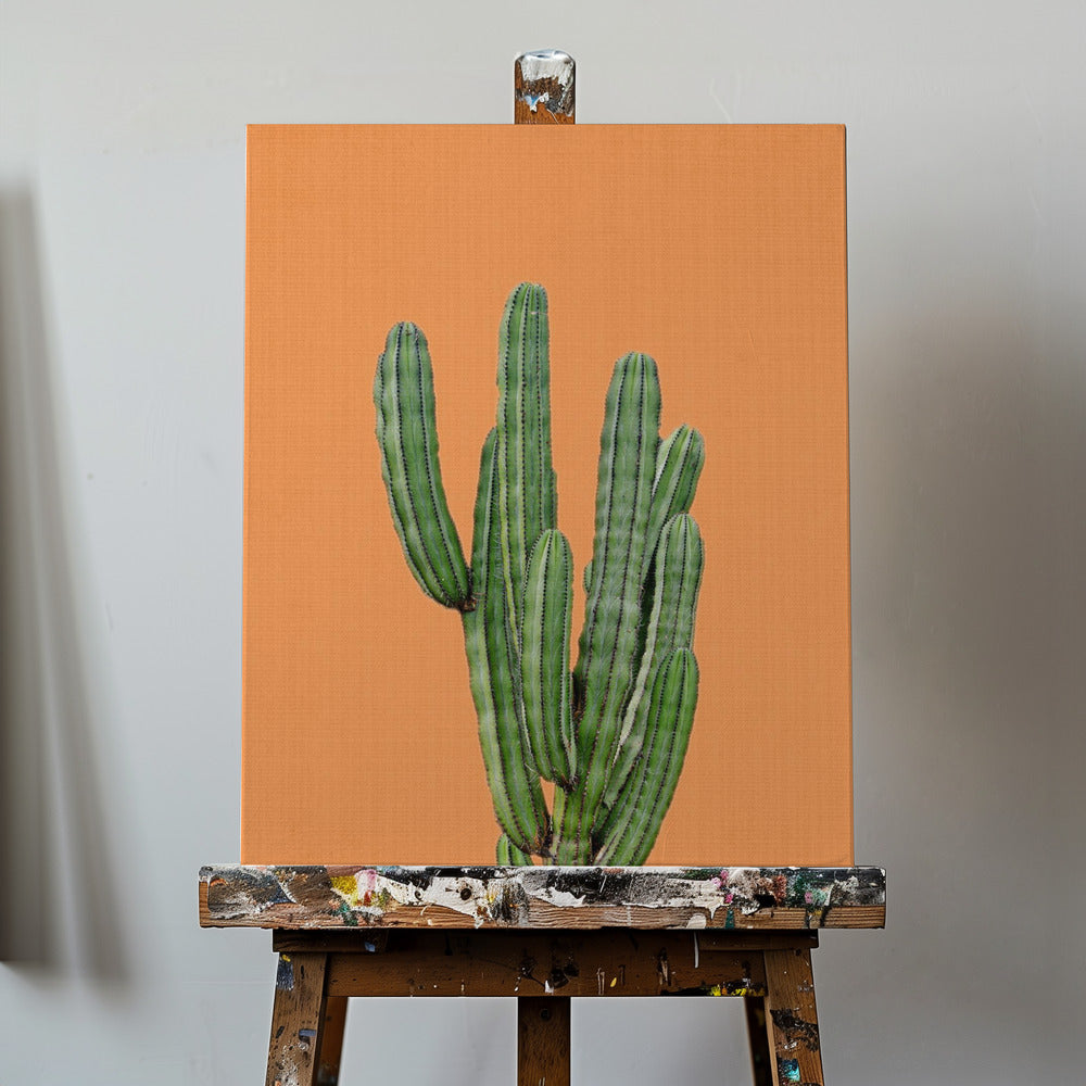 Orange kaktus | Canvas