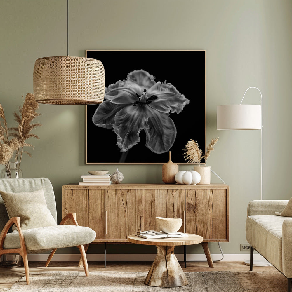 Tulipe perroquet | Tableaux sur Toile