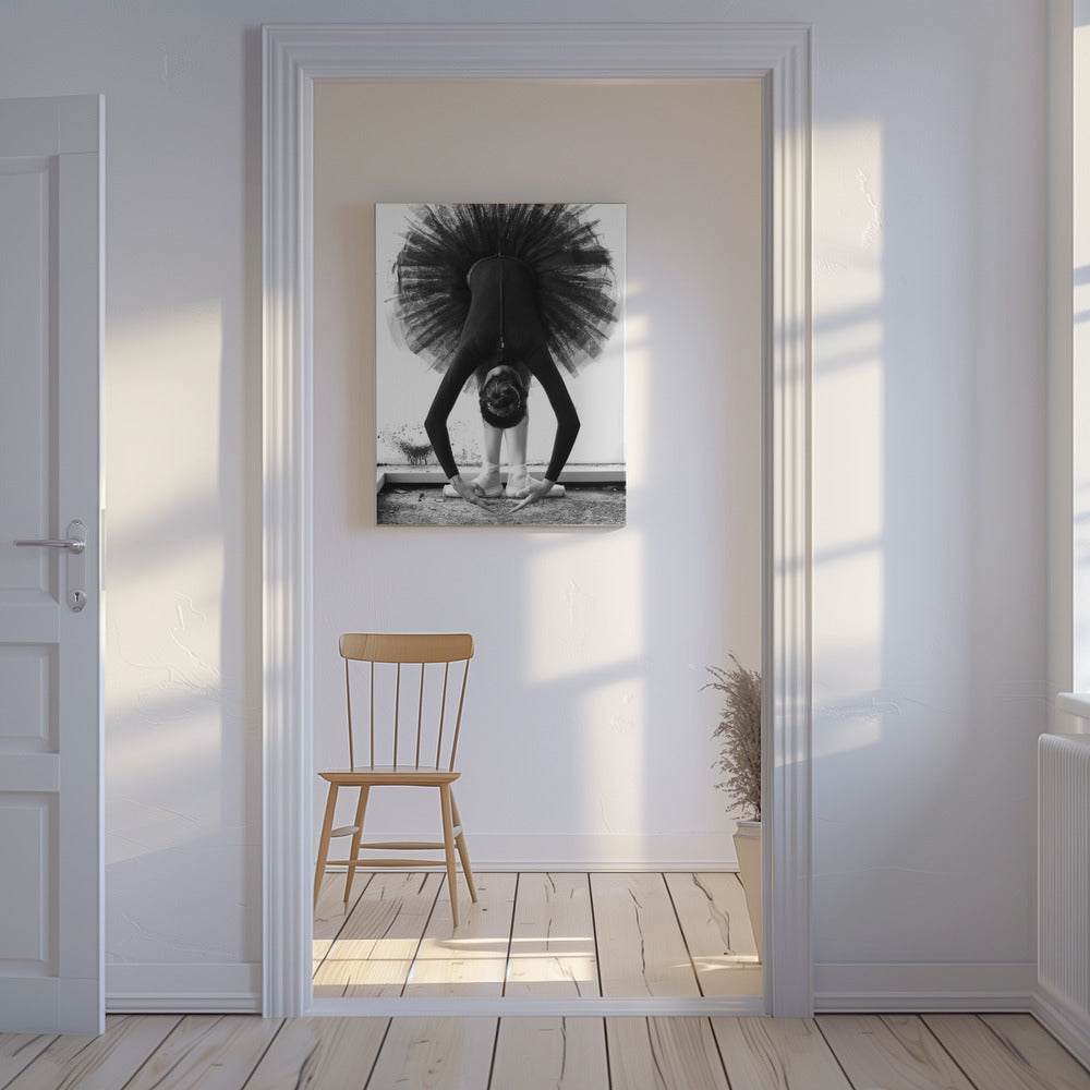 Ballerina | Leinwand-Bilder