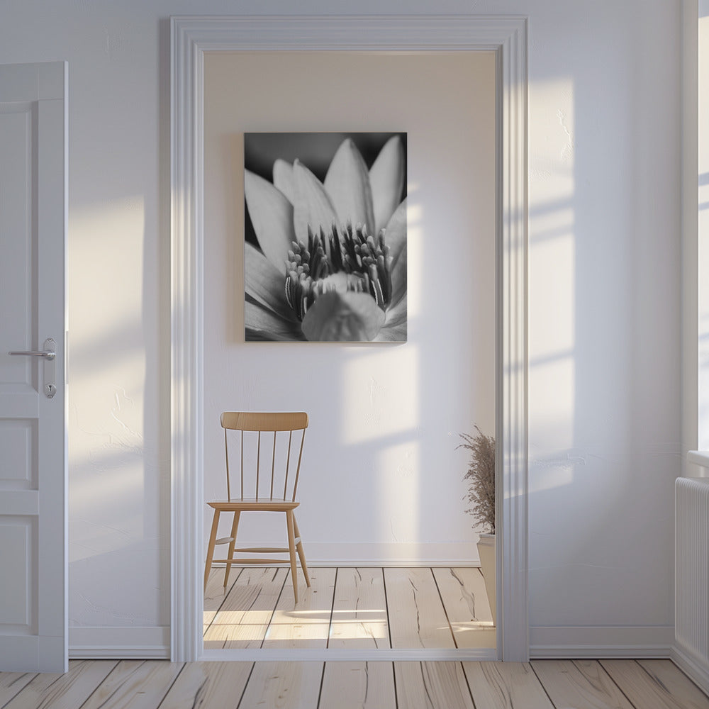 Blomst, tæt på | Lærredsbilleder