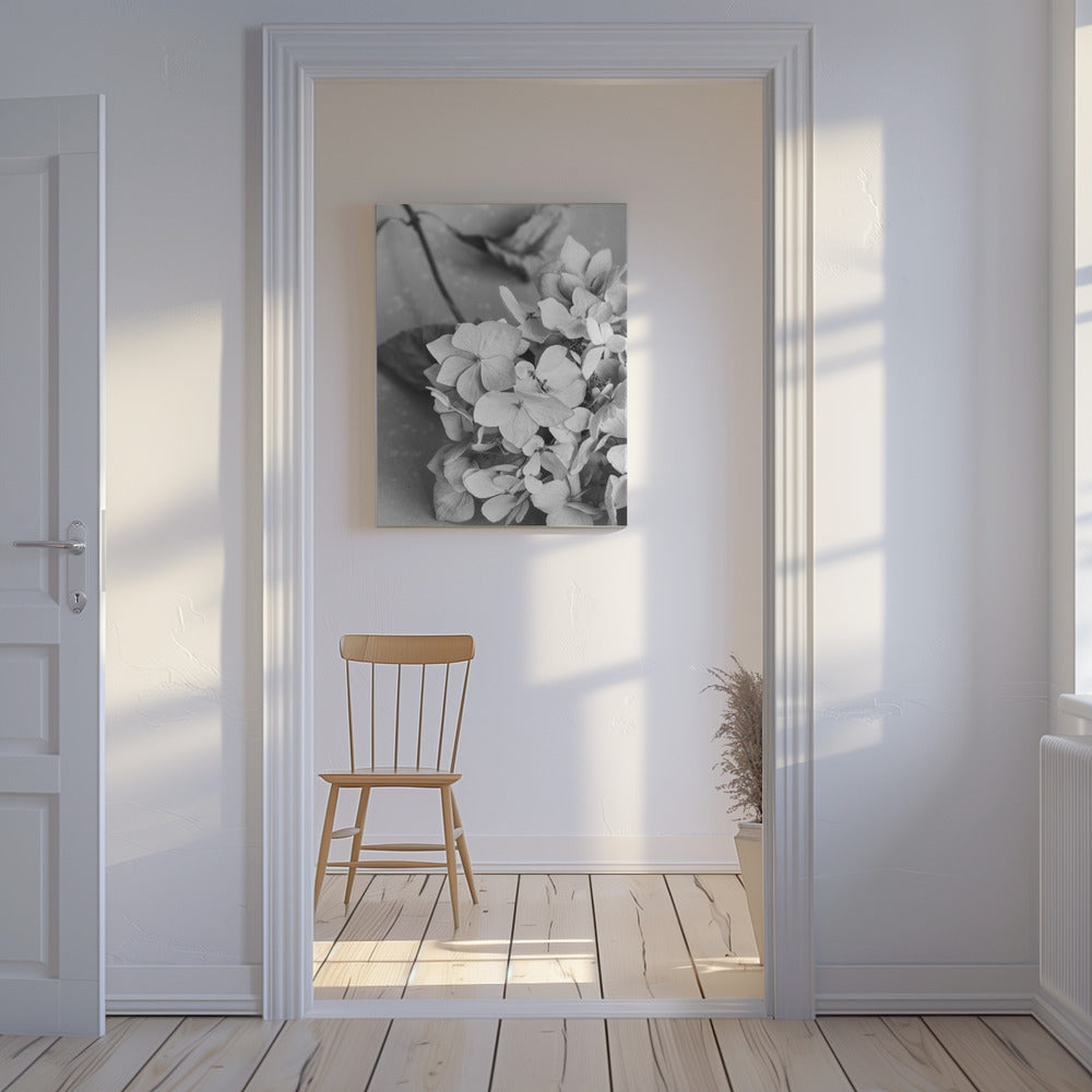 Teller mit getrockneten Blumen_schwarz-weiß | Leinwand-Bilder