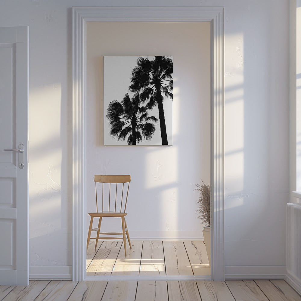 Palm Contrast | Canvas