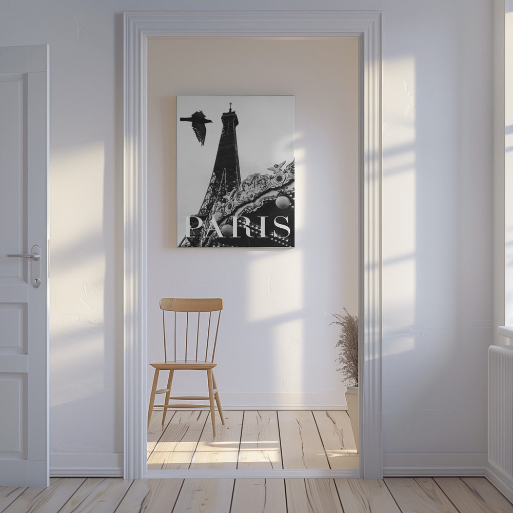 Paris Dove | Stampe su Tela