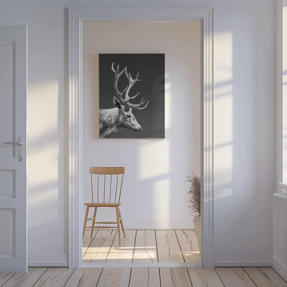 Rensdyr | Lærredsbilleder