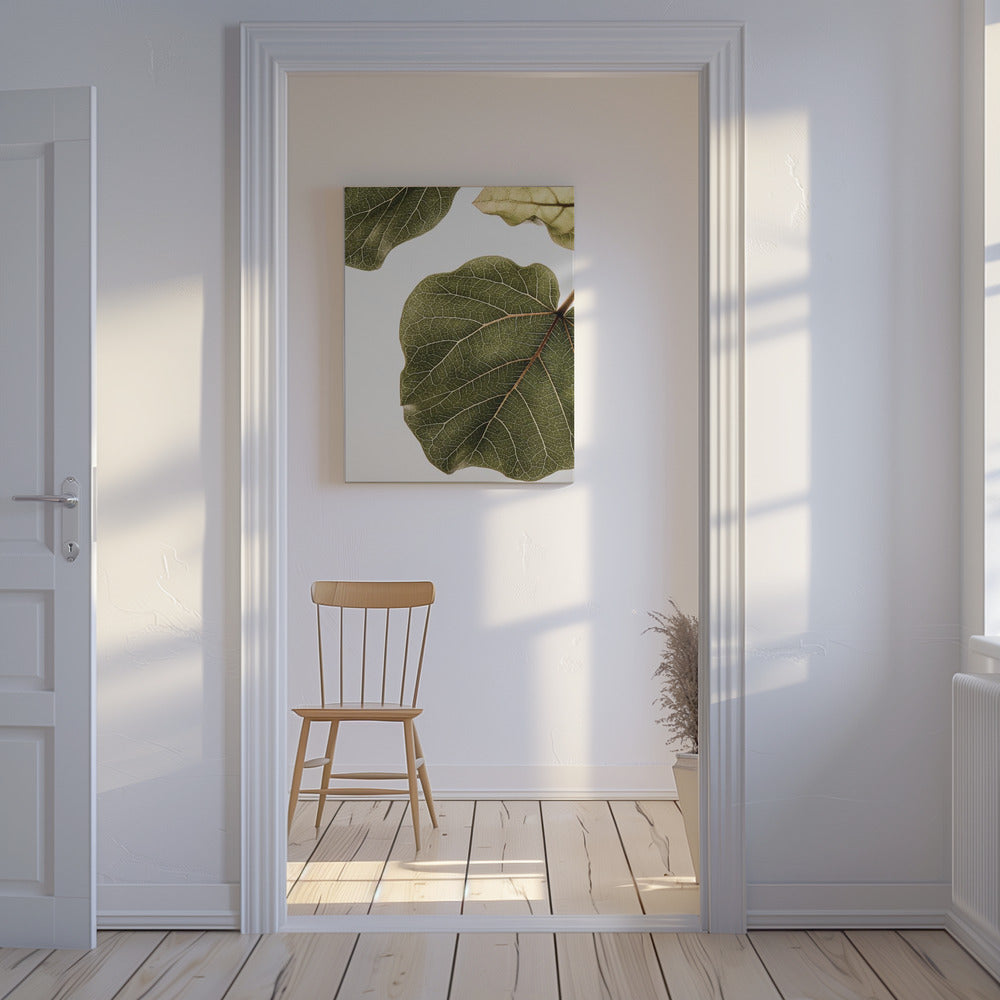 Abutifolia nr. 2 | Lærredsbilleder