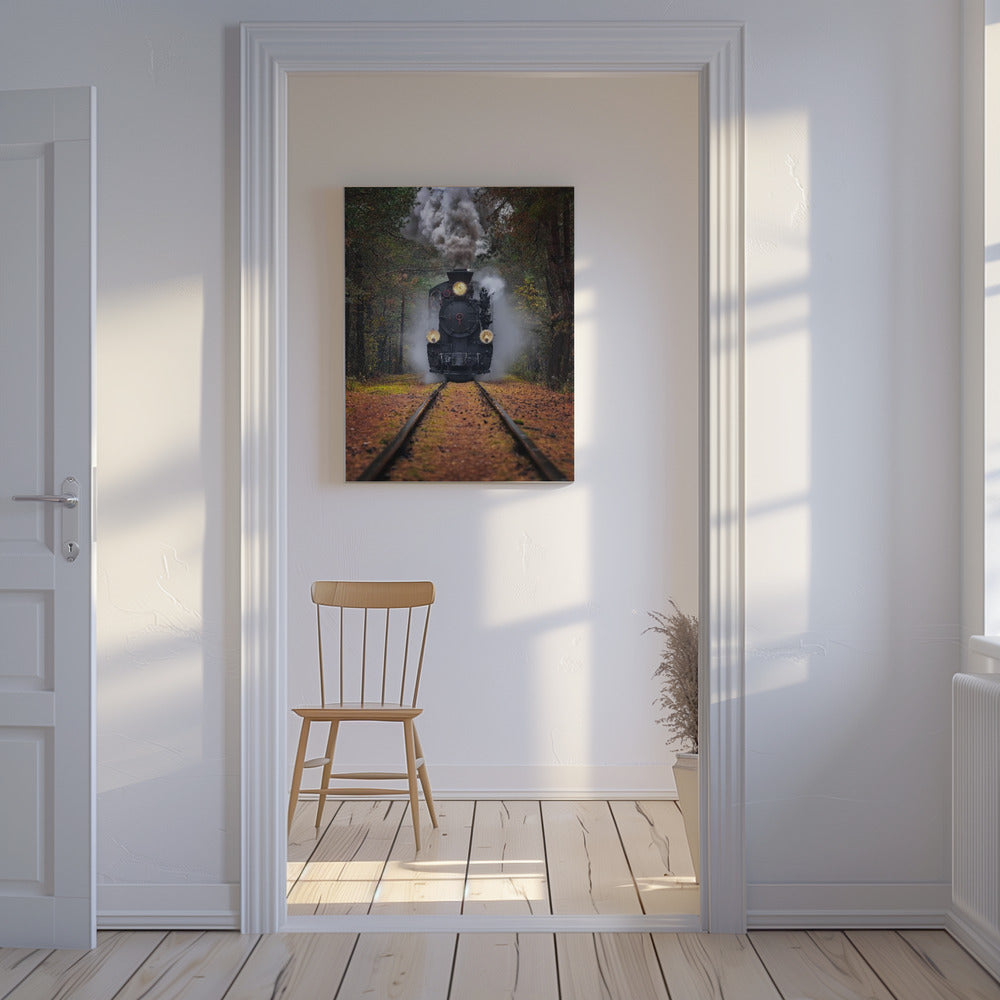Door het herfstbos | Canvasprints