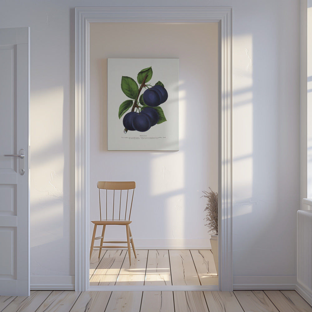 Niagara Plum Litografi | Duk