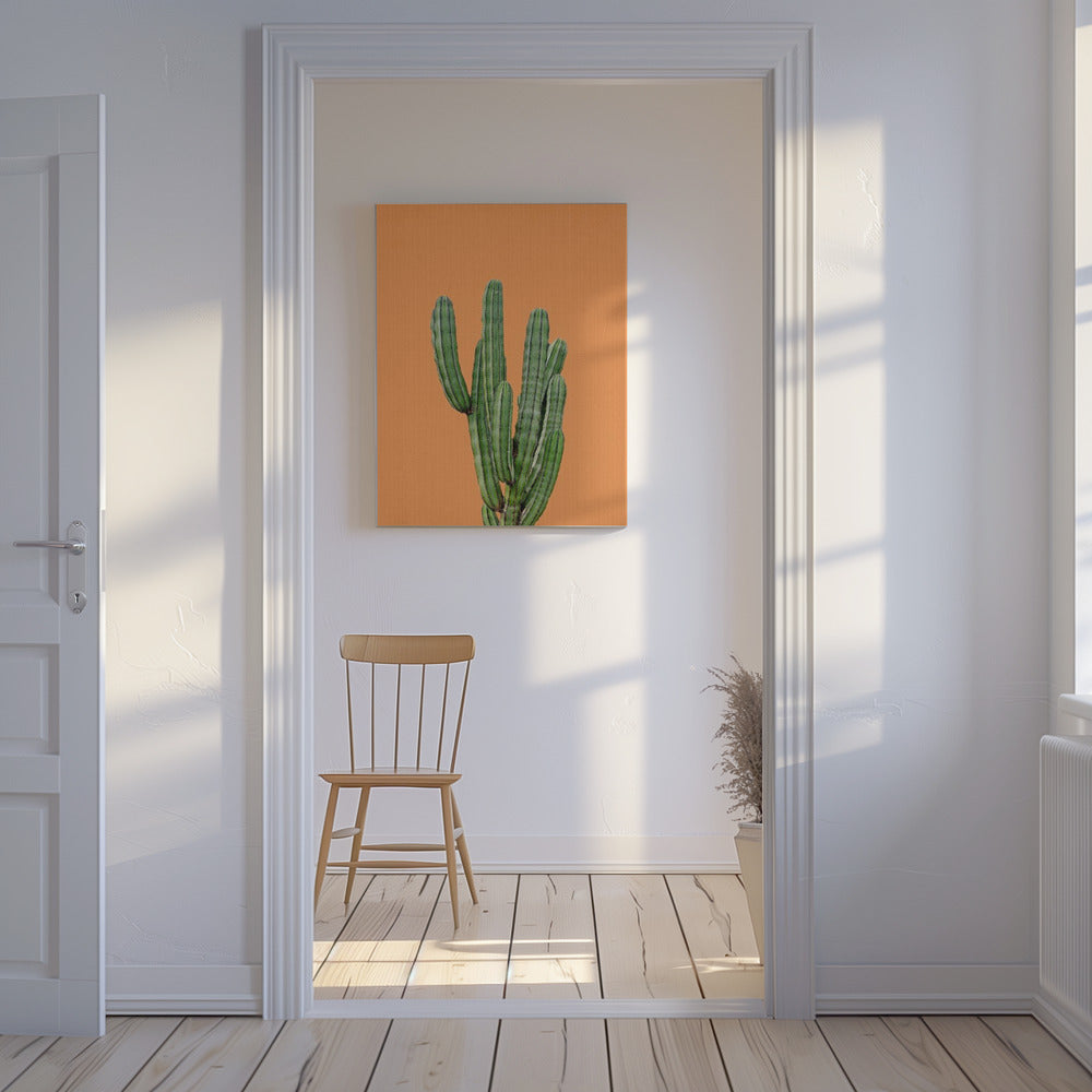 Orange kaktus | Canvas