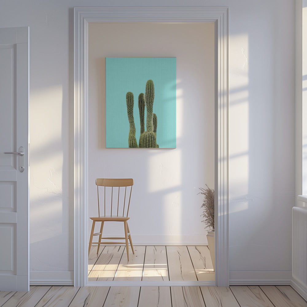Turkos kaktus | Canvas