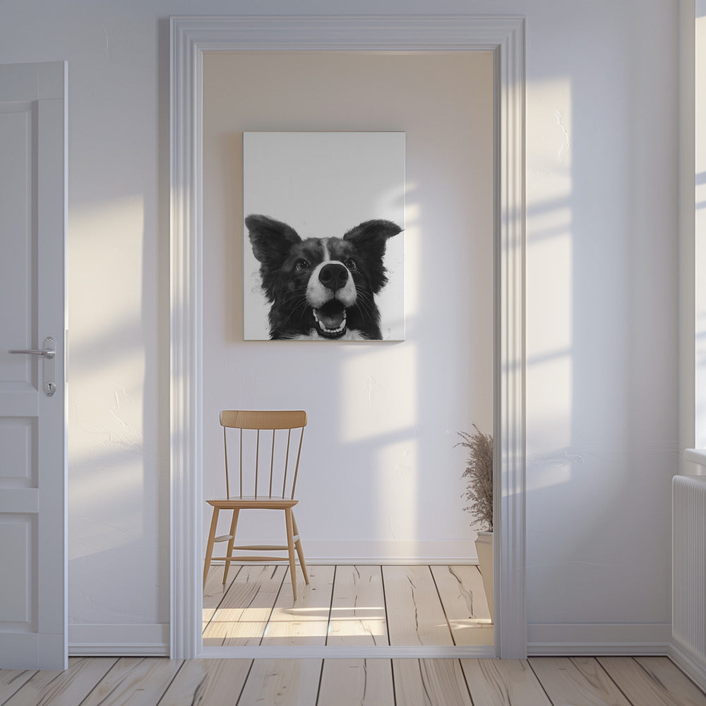 Regard canin joyeux | Tableaux sur Toile