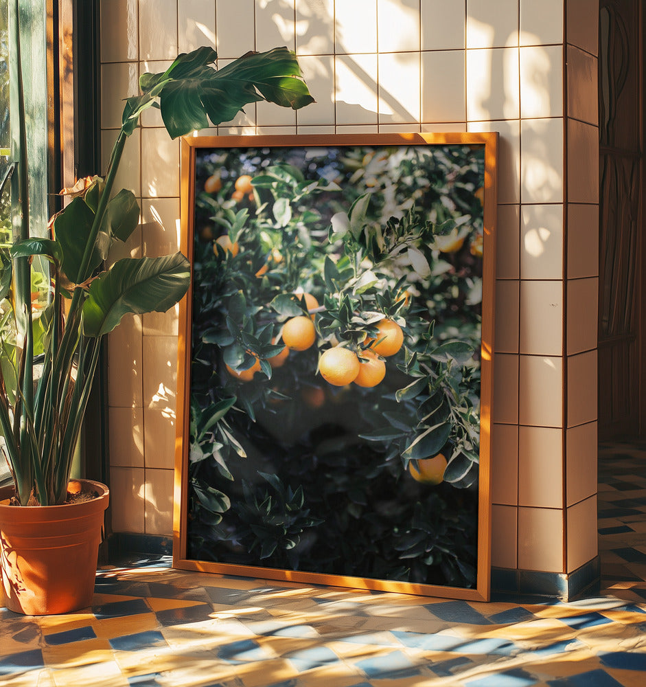 Marrakesh Appelsiner | Plakater - Kunsttryk