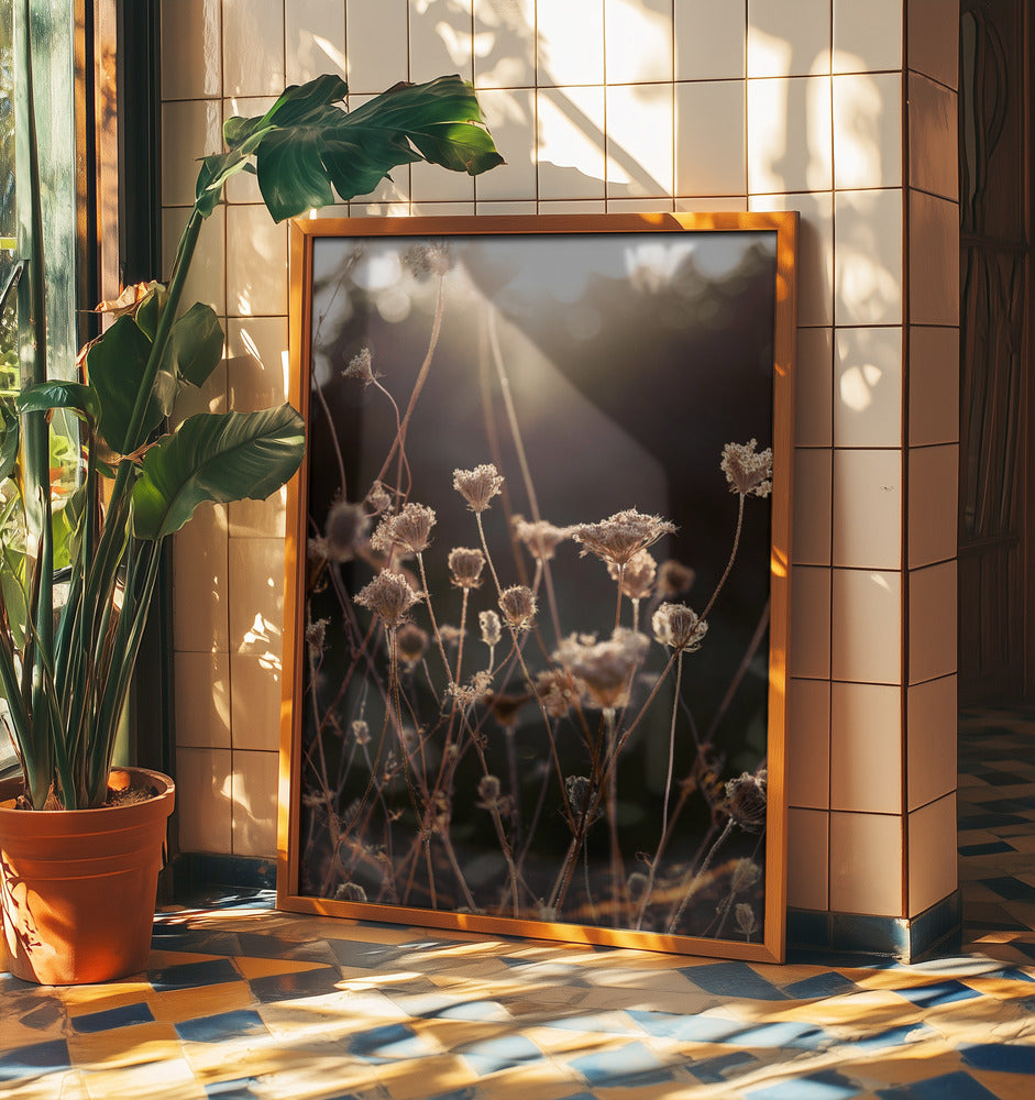 Warm Winter Light 2 | Poster