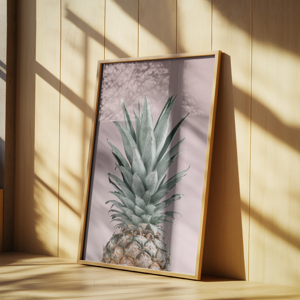 Piña Rosa 02 | Posters - Impresiones de Arte